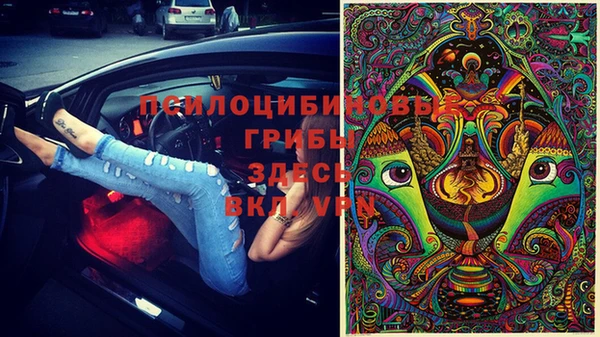 мдма Ладушкин