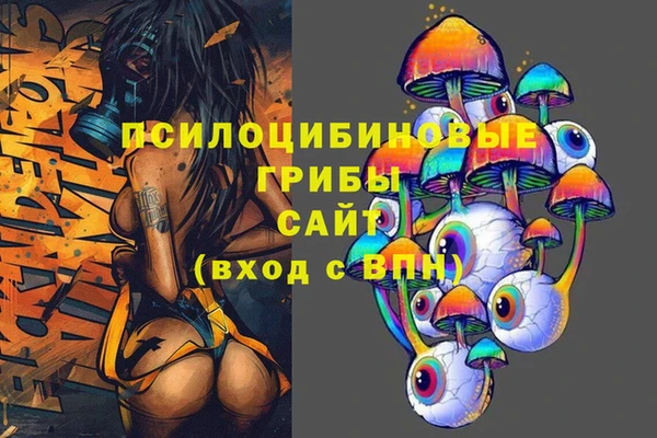 МДПВ Лагань
