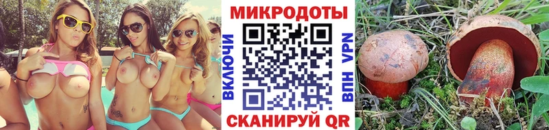 купить  сайты  кракен ССЫЛКА  Псилоцибиновые грибы мицелий  Ильский 
